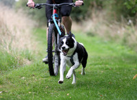 Tri Dog 2026 Sunday Bikejor